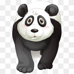 Giant Panda Bear Lion - Denkende Panda, HD Png Download - panda bear png