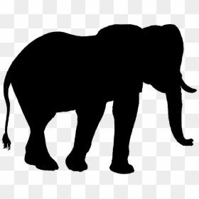 Indian Elephant African Elephant Silhouette Clip Art - Elephant, HD Png Download - indian elephant png