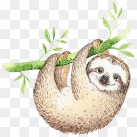 Dont Give Up Poster, HD Png Download - sloth face png