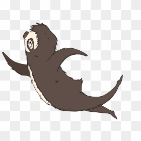 Marine Mammal, HD Png Download - sloth face png