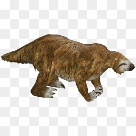 Grizzly Bear, HD Png Download - sloth face png