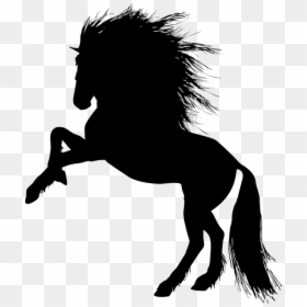 Animal, Equine, Rearing, Horse, Silhouette, Ride - Rearing Unicorn, HD Png Download - rearing horse png
