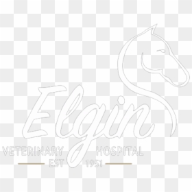 Transparent Vet Png - Stallion, Png Download - hospital bed png