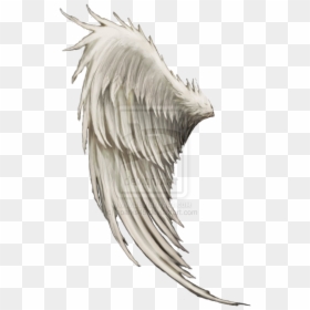 Wing Angel Clip Art - Dark Angel, HD Png Download - metal wings png