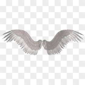 Transparent Eagle Wings Clipart - Transparent Background Angel Wings Transparent, HD Png Download - metal wings png