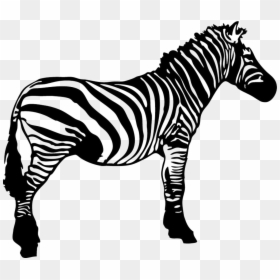 Zebra Clip Art - Clip Art Zebra Black And White, HD Png Download - zebra head png