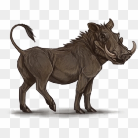 Common Warthog Lion Pig Hyena Mane - Warthog Png, Transparent Png - lion mane png