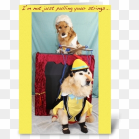 Puppet Dog Costumes, HD Png Download - puppet strings png