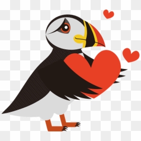 Puffin, Bird, Sea, Birds, Animal, Iceland, Waterfowl - Puffin Vector, HD Png Download - puffin png