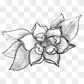 Art Corrie Clark - Orchid, HD Png Download - dogwood tree png