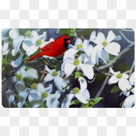 Company In The Dogwood Tree Doormat 30"x18" - Indigo Bunting, HD Png Download - dogwood tree png