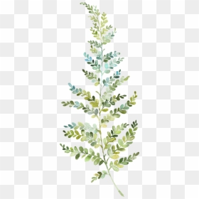 Resonance, HD Png Download - crape myrtle png