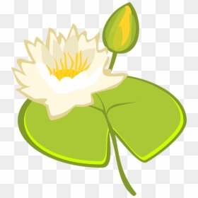 Water Lily, Lake, Water, Pond, Blossom, Bloom, Nature - Illustration, HD Png Download - lake water png