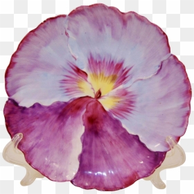 Outstanding Antique Bavarian Hand Painted Porcelain - Pansy, HD Png Download - geranium png