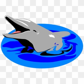 Dolphin In Water Clipart, HD Png Download - under water png