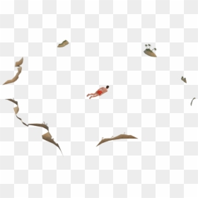 Shorebird, HD Png Download - david hasselhoff png