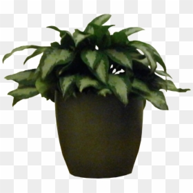 Plants Clipart Indoor Plant - Plants For Photoshop Png, Transparent Png - indoor plants png