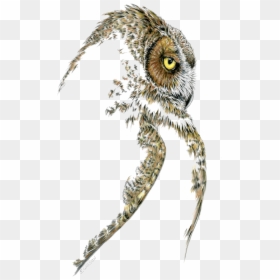 Great Horned Owl Profile V=1533656211 - Great Horned Owl, HD Png Download - great horned owl png