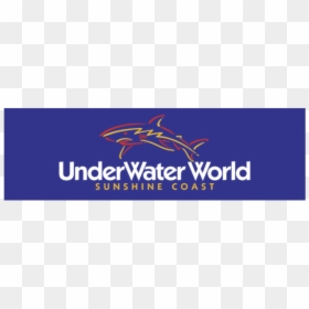 Underwater World, HD Png Download - under water png