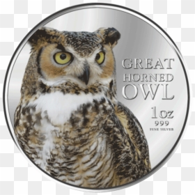 Niue 2013 2$ Great Horned Owl Birds Of Prey Proof Silver - Bird Of Prey, HD Png Download - great horned owl png