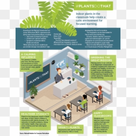 Brochure, HD Png Download - indoor plants png