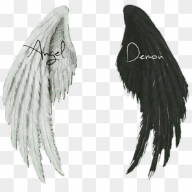 #wings #angel #demon - Angel And Demon Wings, HD Png Download - demon wing png
