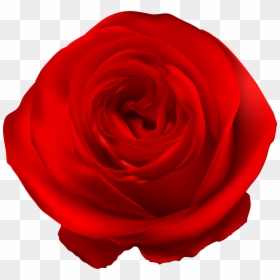 Roses Blue Clip Art, HD Png Download - rose garden png