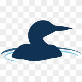 Duck, HD Png Download - lake water png