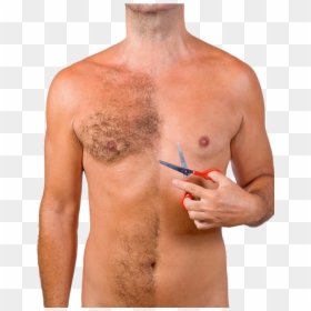 Body Hair Transplant In India - Reduce Body Hair Male, HD Png Download - body hair png