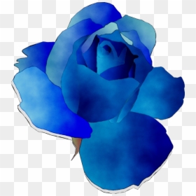 Blue Rose Garden Roses Cut Flowers - Floribunda, HD Png Download - rose garden png