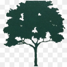 African Tree Clip Art , Png Download - African Tree Clip Art, Transparent Png - african tree png