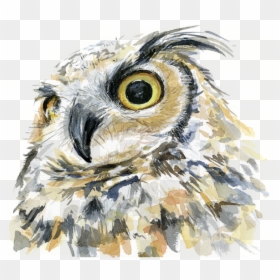 Great Horned Owl Art, HD Png Download - great horned owl png