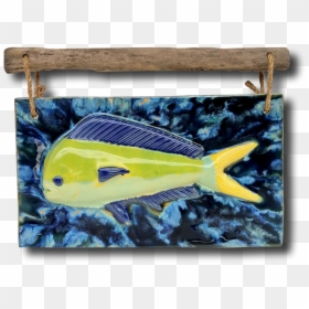 Transparent Mahi Mahi Png - Coral Reef Fish, Png Download - mahi mahi png