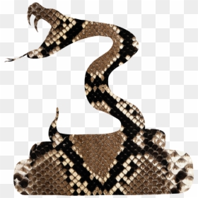 Rattlesnake Vipers Silhouette - Snakes, HD Png Download - gadsden snake png
