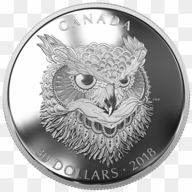 2 Oz Pure Silver Coin Zentangle Art, HD Png Download - great horned owl png