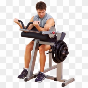 Body-solid Cam Series Biceps & Triceps - Body Solid Bicep Tricep Machine, HD Png Download - biceps png