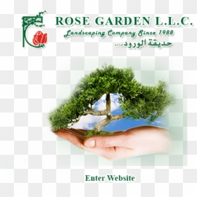 Templates Html, HD Png Download - rose garden png