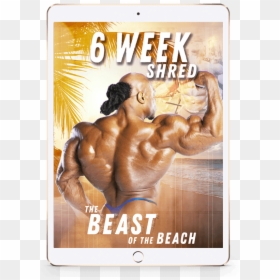 Kai Greene 6 Week Shred, HD Png Download - biceps png