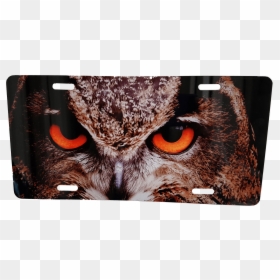 License Plate Owl - Scary Owl, HD Png Download - great horned owl png