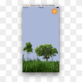 Transparent Bob Ross Png - Grass, Png Download - bob ross face png