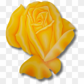 Transparent Rose Garden Png - Garden Roses, Png Download - rose garden png