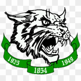 Arundel High School Wildcats, HD Png Download - wildcat paw png