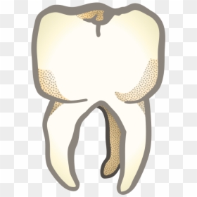 Zahn , Remix 245901 , Outline , Teaching , Tooth , - Illustration, HD Png Download - teeth grill png