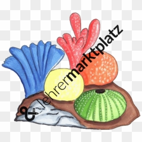 Transparent Beet Png - Cartoon, Png Download - cartoon potato png