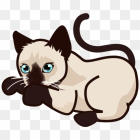 Siamese Cat Clipart - Siamese Cat Clipart Png, Transparent Png - siamese cat png