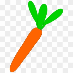 Carrot, Vegetable, Vegetarian, Raw, Plant, Food, Veggie - Animated Carrot Transparent, HD Png Download - veggie png
