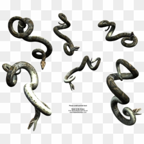 Snake Clipart Realistic - Vijay Mahar Snake Png, Transparent Png - boa constrictor png