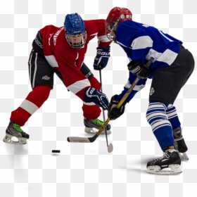 Sports,ice Hockey Equipment,hockey Protective Equipment,hockey - Ice Hockey Players Png, Transparent Png - hockey rink png
