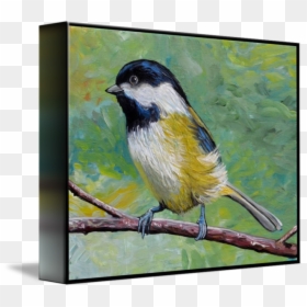 Chestnut-backed Chickadee, HD Png Download - chickadee png