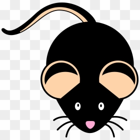 Black Mouse Png - Black Mouse Clipart, Transparent Png - rodent png